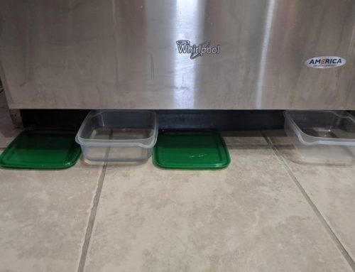 Dishwasher Leaking From the Bottom or Door: What It Usually Means
