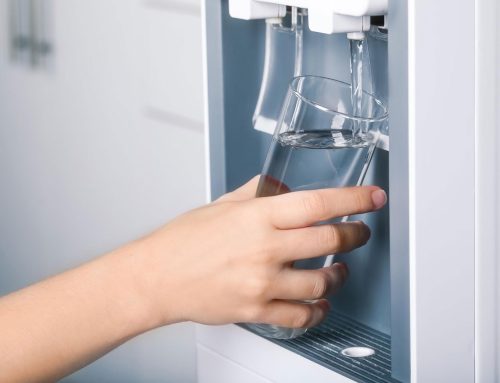 How Often Should You Replace Your Refrigerator Water Filter to Prevent Bad-Tasting Water and Cloudy Ice?