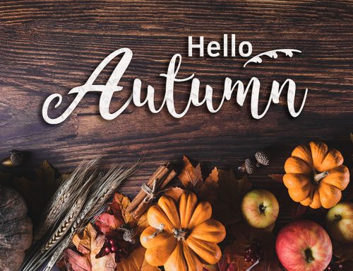 Hello Fall!